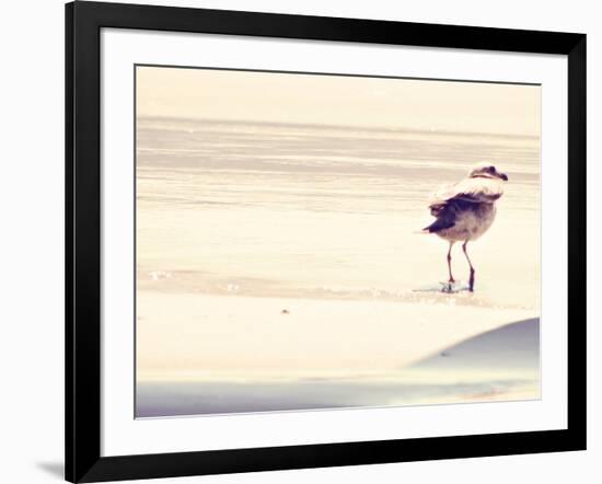 Bird at The Beach-Sylvia Coomes-Framed Photographic Print