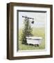 Bird Bath-Kathleen Green-Framed Giclee Print