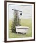 Bird Bath-Kathleen Green-Framed Art Print