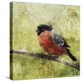 Bird Buddy I-Kay Daichi-Stretched Canvas