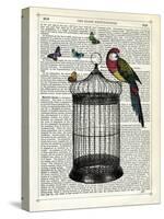 Bird Cage and Parrot-Marion Mcconaghie-Stretched Canvas