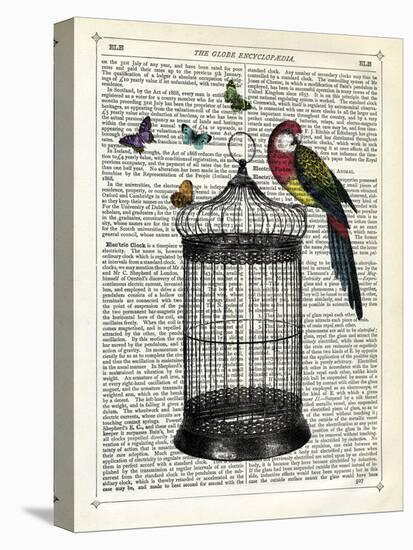 Bird Cage and Parrot-Marion Mcconaghie-Stretched Canvas