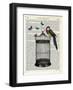 Bird Cage and Parrot-Marion Mcconaghie-Framed Art Print