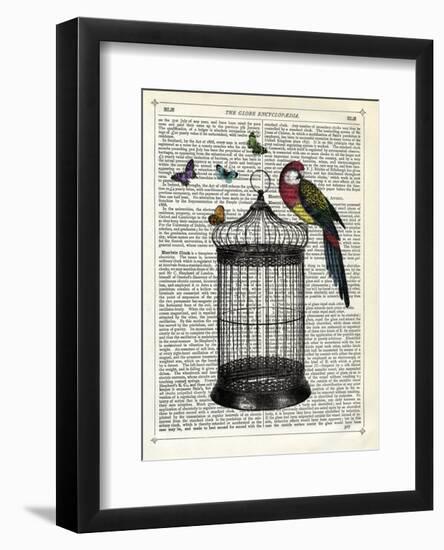 Bird Cage and Parrot-Marion Mcconaghie-Framed Art Print