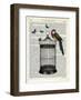 Bird Cage and Parrot-Marion Mcconaghie-Framed Art Print