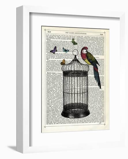 Bird Cage and Parrot-Marion Mcconaghie-Framed Art Print