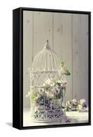 Bird Cage Filled with Apple Tree Blossom with Vintage Effect-Amd Images-Framed Stretched Canvas