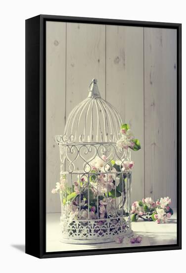 Bird Cage Filled with Apple Tree Blossom with Vintage Effect-Amd Images-Framed Stretched Canvas