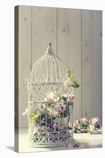 Bird Cage Filled with Apple Tree Blossom with Vintage Effect-Amd Images-Stretched Canvas