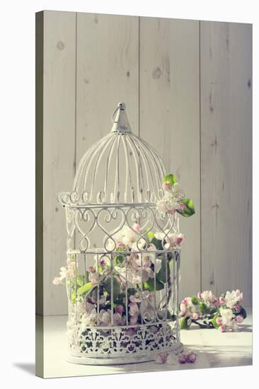 Bird Cage Filled with Apple Tree Blossom with Vintage Effect-Amd Images-Stretched Canvas