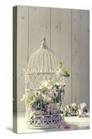 Bird Cage Filled with Apple Tree Blossom with Vintage Effect-Amd Images-Stretched Canvas