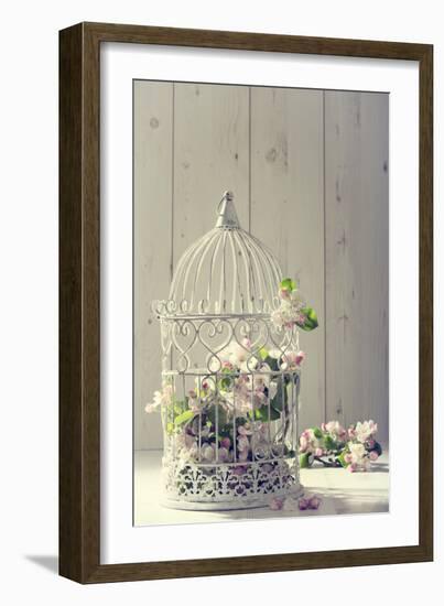 Bird Cage Filled with Apple Tree Blossom with Vintage Effect-Amd Images-Framed Photographic Print