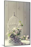 Bird Cage Filled with Apple Tree Blossom with Vintage Effect-Amd Images-Mounted Photographic Print