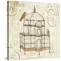 Bird Cage I-Avery Tillmon-Stretched Canvas