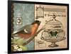 Bird & Cage I-Gwendolyn Babbitt-Framed Premium Giclee Print