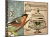 Bird & Cage I-Gwendolyn Babbitt-Mounted Art Print
