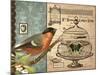 Bird & Cage I-Gwendolyn Babbitt-Mounted Art Print