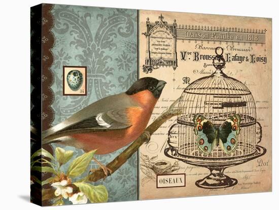 Bird & Cage I-Gwendolyn Babbitt-Stretched Canvas