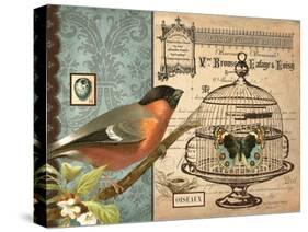 Bird & Cage I-Gwendolyn Babbitt-Stretched Canvas