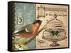 Bird & Cage I-Gwendolyn Babbitt-Framed Stretched Canvas