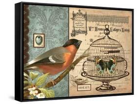 Bird & Cage I-Gwendolyn Babbitt-Framed Stretched Canvas