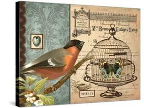 Bird & Cage I-Gwendolyn Babbitt-Stretched Canvas