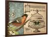 Bird & Cage I-Gwendolyn Babbitt-Framed Art Print