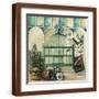 Brown Frame