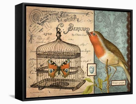 Bird & Cage II-Gwendolyn Babbitt-Framed Stretched Canvas