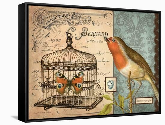 Bird & Cage II-Gwendolyn Babbitt-Framed Stretched Canvas