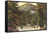 Bird Cage in Zoo, St. Louis, Missouri-null-Framed Stretched Canvas