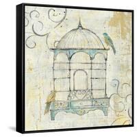 Bird Cage IV-Avery Tillmon-Framed Stretched Canvas