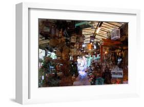 Bird Cages, Paris, France-Nicolas Hugo-Framed Giclee Print