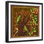 Bird Calls 21-David Sheskin-Framed Giclee Print