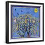 Bird Calls 27-David Sheskin-Framed Giclee Print