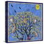 Bird Calls 27-David Sheskin-Stretched Canvas