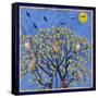 Bird Calls 27-David Sheskin-Framed Stretched Canvas