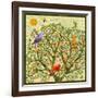 Bird Calls 46-David Sheskin-Framed Giclee Print