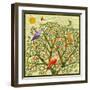 Bird Calls 46-David Sheskin-Framed Giclee Print