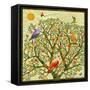 Bird Calls 46-David Sheskin-Framed Stretched Canvas