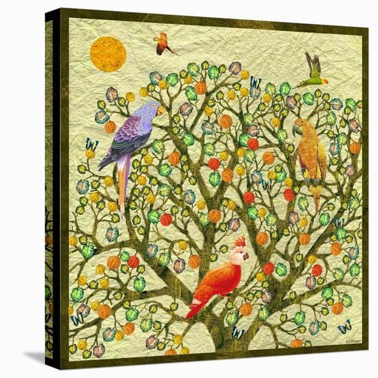 Bird Calls 46-David Sheskin-Stretched Canvas