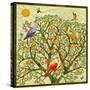 Bird Calls 46-David Sheskin-Stretched Canvas