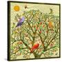 Bird Calls 46-David Sheskin-Stretched Canvas