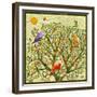 Bird Calls 46-David Sheskin-Framed Giclee Print