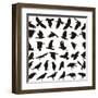 Bird Carrion Crow-Gepard-Framed Art Print