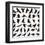 Bird Carrion Crow-Gepard-Framed Art Print