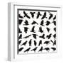 Bird Carrion Crow-Gepard-Framed Art Print