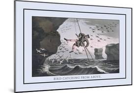 Bird Catching from Above-J.h. Clark-Mounted Art Print