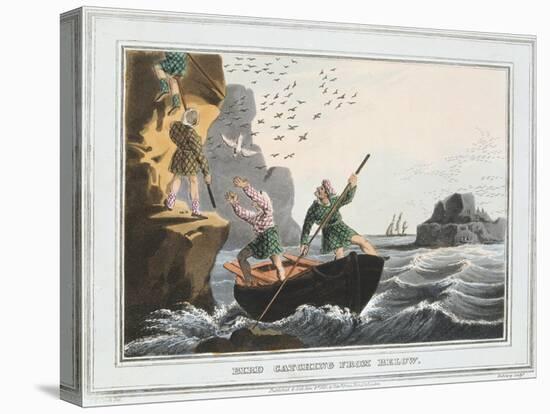 Bird Catching from Below, Shetland Islands, 1813-JH Clarke-Stretched Canvas