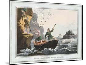 Bird Catching from Below, Shetland Islands, 1813-JH Clarke-Mounted Giclee Print